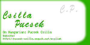 csilla pucsek business card